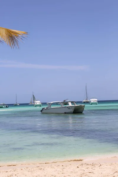 Playa Con Palmeras Cielo — Foto de Stock