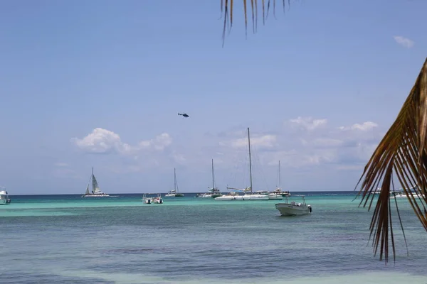 Spiaggia Con Palme Cielo — Foto Stock