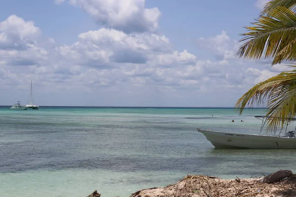 Spiaggia Caraibica Con Acqua Blu — Foto Stock