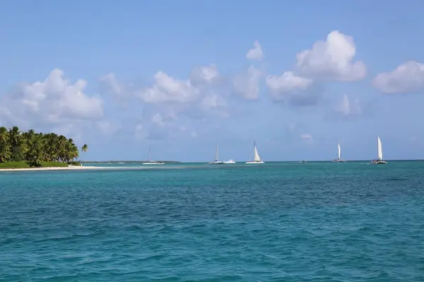 Praia Caribe Com Água Azul — Fotografia de Stock