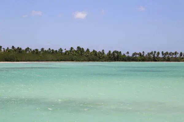Karibská Pláž Modrou Vodou — Stock fotografie