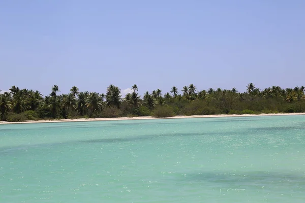 Praia Caribe Com Água Azul — Fotografia de Stock