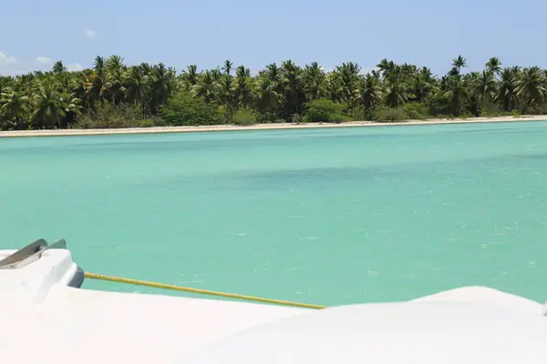 Mavi Suyu Olan Karayip Plajı — Stok fotoğraf