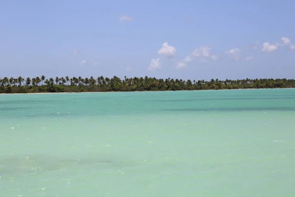 Spiaggia Caraibica Con Acqua Blu — Foto Stock