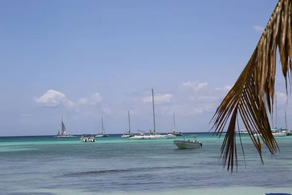 ヤシの木と空と海のビーチでボート — ストック写真