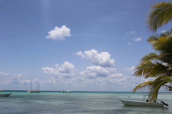 ヤシの木と空と海のビーチでボート — ストック写真