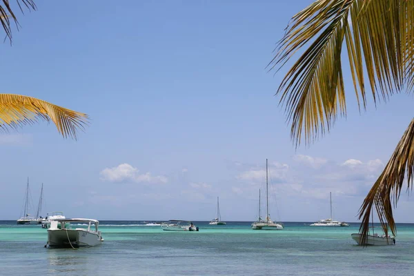 ヤシの木と空と海のビーチでボート — ストック写真