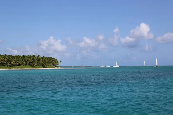 Карибский Пляж Голубой Водой — стоковое фото