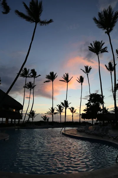 Palmeras Piscina Por Mañana Amanecer — Foto de Stock