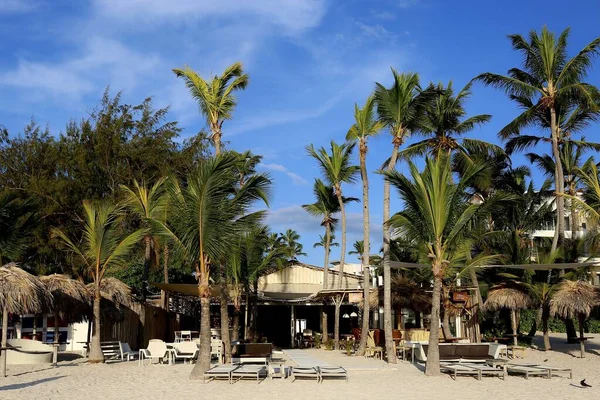 Havsstrand Och Palmer Tropiska Havet — Stockfoto