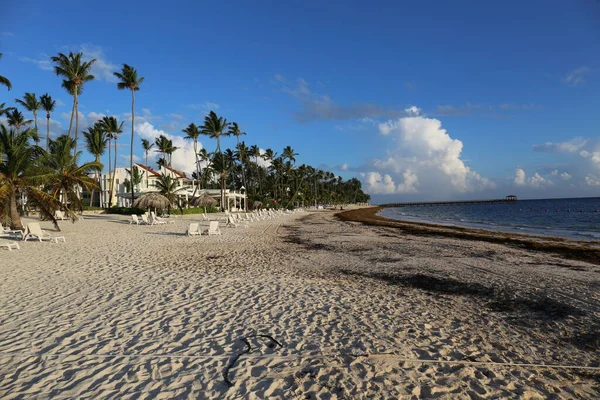 Spiaggia Mare Palme Tropici — Foto Stock