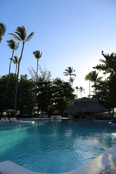 Palmeras Piscina Por Mañana Amanecer —  Fotos de Stock