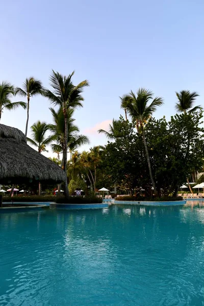 Gün doğumunda havuzda palmiye ağaçları