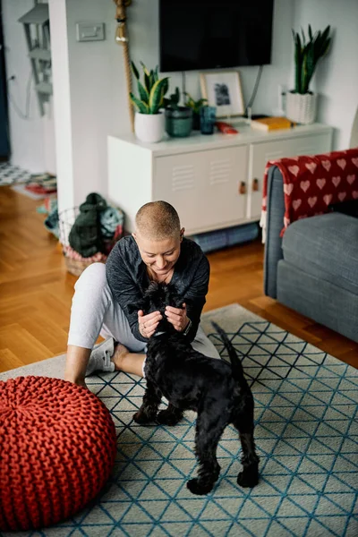 Glad Äldre Kvinna Med Kort Hår Leker Med Sin Hund — Stockfoto