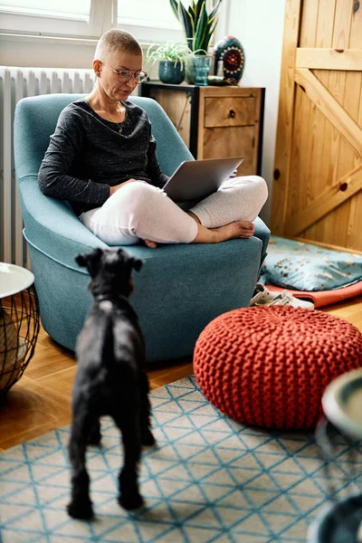 Egy Elkötelezett Üzletasszony Otthon Kutyájával Befejezi Munkát Egy Laptopon — Stock Fotó