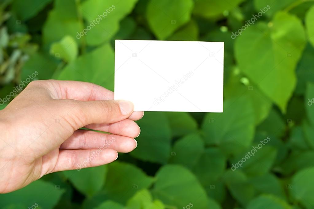 Woman's hand holding blank white bussiness card