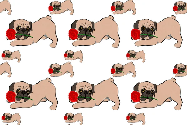 Drawing Seamless Pattern Cute Pug Puppy Red Rose White Background — Stock Photo, Image