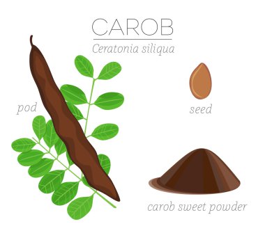 Superfood keçiboynuzu vektör set