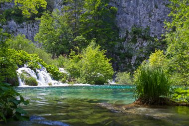 Hırvatistan 'da Plitvice Lakes Ulusal Parkı