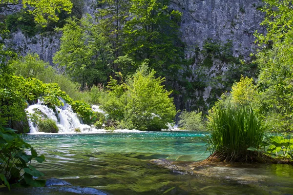 Плитвицкие озера в Хорватии — стоковое фото