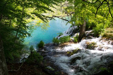 Hırvatistan 'da Plitvice Lakes Ulusal Parkı