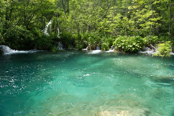 Parque Nacional dos Lagos de Plitvice na Croácia — Fotografia de Stock