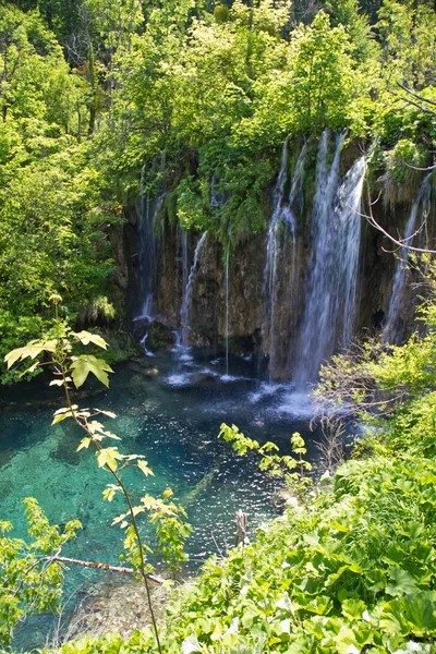 Parc national des lacs de Plitvice en Croatie — Photo