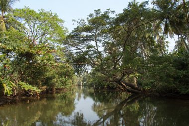 Hollandalı kanalda: negombo, sri lanka