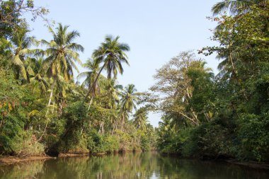 Hollandalı kanalda: negombo, sri lanka
