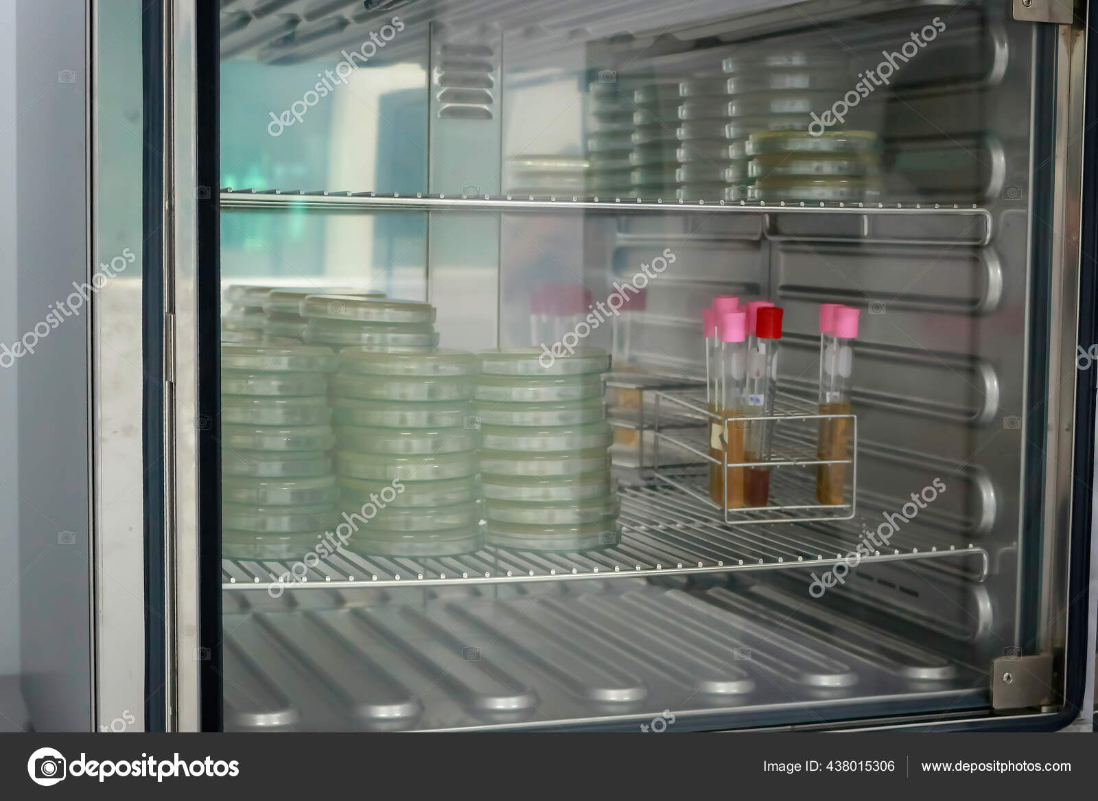 Petri Dish Culture Medium Laboratory Incubator