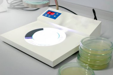 Koloni sayacı ve petri kabındaki sıvı mikroorganizma, mantar ve mikrop kültürleri tabak kulesi, mikroorganizma ve biyoteknoloji laboratuvar deneyleri konsepti ile birlikte büyümekte..