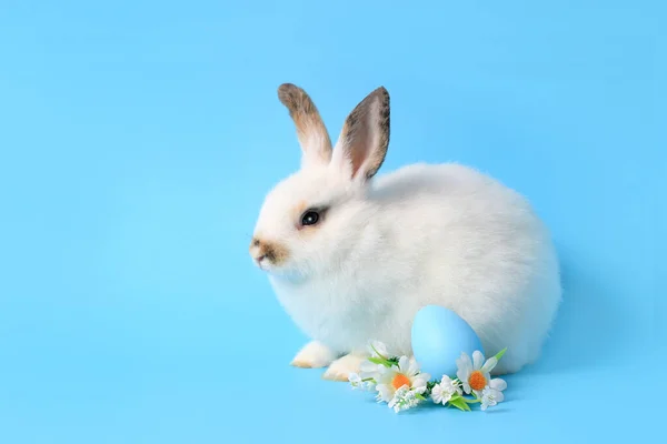 Coelho Branco Feliz Com Ovo Páscoa Pintado Flor Margarida Fundo — Fotografia de Stock