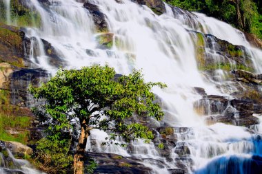 Mae Ya şelalesi, tropikal yağmur ormanlarında akan şelale, Doi Inthanon ulusal parkında katarakt, Tayland 'ın kuzeyinde Chiang Mai.
