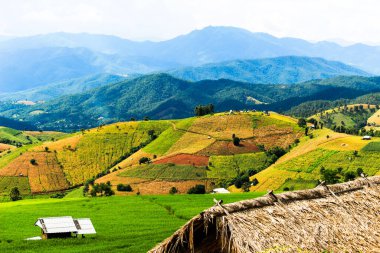 Pa Pong Pieng 'deki tepe ekiminin güzel manzarası Mae Chaem, Chiang Mai, Tayland' daki yeşil teraslı pirinç tarlaları.