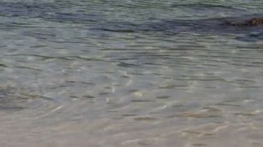 Kristal berrak su denizi, hareket eden küçük dalgalı su yüzeyi