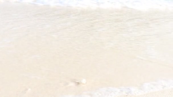 白い砂のビーチで波がクラッシュし 熱帯夏の海のビーチの美しい自然シーン — ストック動画