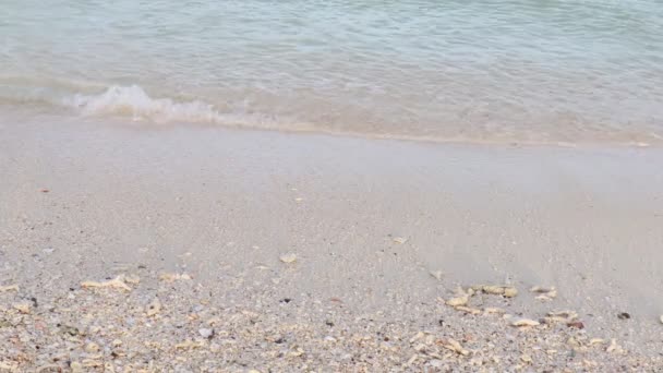 Океанічні Хвилі Розбиваються Пляжі Білим Піском Красива Природна Сцена Тропічного — стокове відео