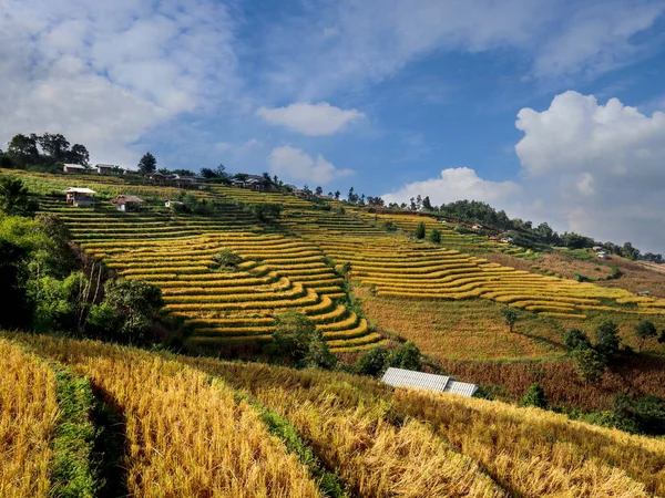 Hasattan sonra dağdaki güzel teraslı pirinç tarlaları, Tayland, Chiangmai 'deki Doi Inthanon ulusal parkının ünlü turistik merkezlerinden biri olan Ban Pa Pong Piang..