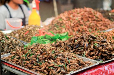 Tayland sokak yiyecek pazarında atıştırmalık olarak kızarmış böcekler, egzotik yiyecekler yüksek protein öğünleri  