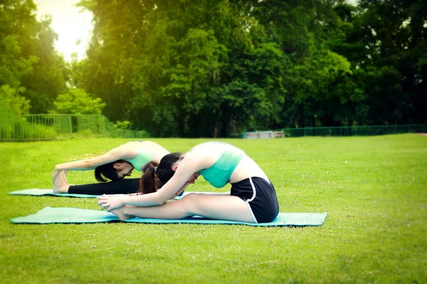 Zwei Hübsche Asiatische Teenager Frauen Praktizieren Yoga Garten Der Natur — Stockfoto