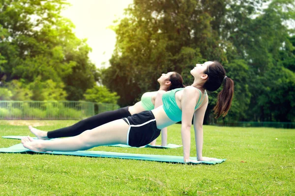 Zwei Hübsche Asiatische Teenager Frauen Praktizieren Yoga Garten Der Natur — Stockfoto