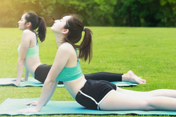 Hübsche Junge Frauen Praktizieren Morgens Yoga Meditation Mit Schmetterling Auf — Stockfoto