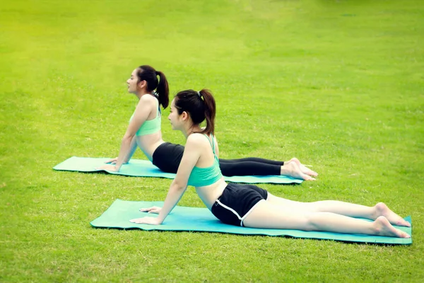 Zwei Hübsche Asiatische Teenager Frauen Praktizieren Yoga Garten Der Natur — Stockfoto