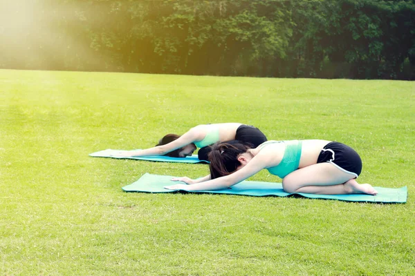 Zwei Hübsche Asiatische Teenager Frauen Praktizieren Yoga Garten Der Natur — Stockfoto