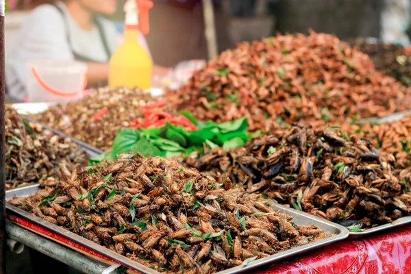 Fried Insects Sale Snack Thai Street Food Market Exotic Food — Stock Photo, Image