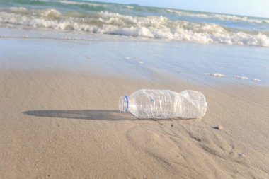 Plastik şişe çöpleri kumsalda, çöpler sahilde ve deniz kirliliği konsepti.
