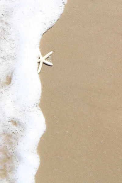 Étoile Mer Avec Mousse Blanche Sur Plage Sable Belle Scène — Photo