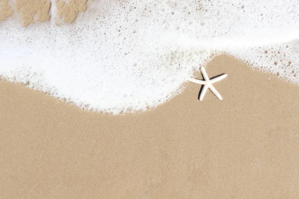 Étoile Mer Avec Mousse Blanche Sur Plage Sable Belle Scène — Photo