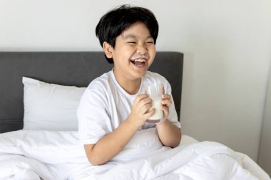 Asyalı çocuk sabah uyandıktan sonra yatak odasında elinde bir bardak süt tutuyor. Rahat beyaz yatakta süt bardağıyla uyuyan tombul bir çocuk. Lezzetli süt içen şirin ilkokul çocuğunun portresi..