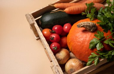 Turuncu balkabağı, yeşil kabak, havuç, kırmızı domates, sağdaki tahta kutuda maydanoz açık turuncu arka plan manzaralı.